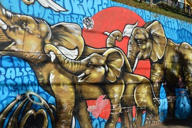 Comuna-13-graffiti-Elephant_Amanda-Obrien_1125-x-750.jpg